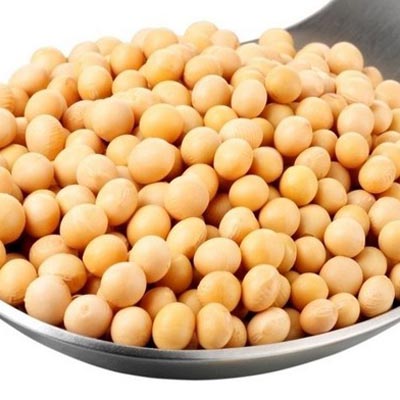 虾补铁吗（虾补铁药）-硒宝网