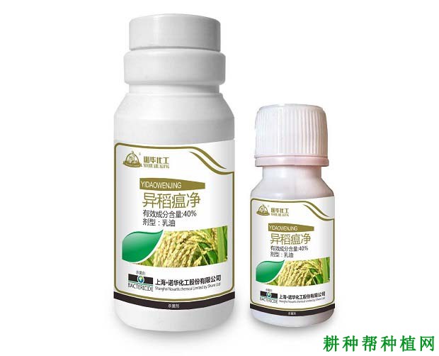 富硒大米的含量(大米富硒含量标准)-硒宝网