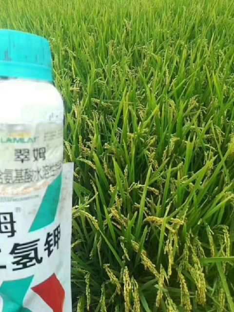 富硒大米的含量(大米富硒含量标准)-硒宝网