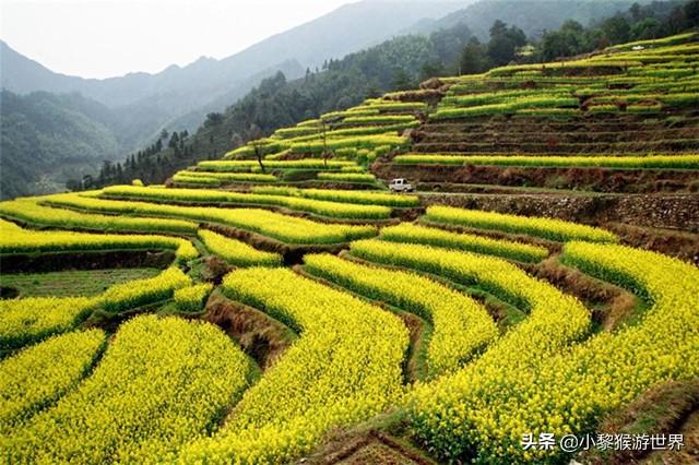中国三大富硒村(中国富硒第一村大山村)-硒宝网