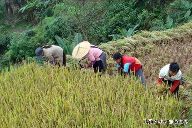 中国三大富硒村(中国富硒第一村大山村)-硒宝网
