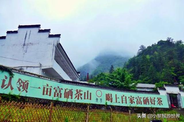 中国三大富硒村(中国富硒第一村大山村)-硒宝网