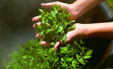 恩施富硒茶好吗（恩施富硒茶厂）-硒宝网