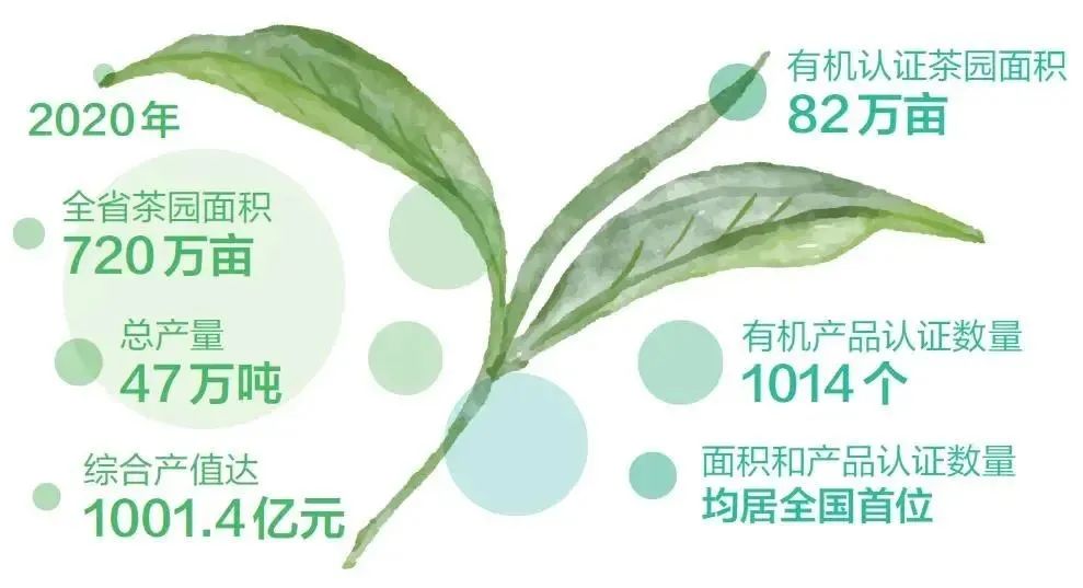 恩施富硒茶好吗（恩施富硒茶厂）-硒宝网