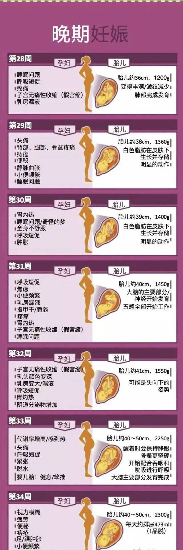 孕妇几个月补铁（孕妇补铁时期）-硒宝网