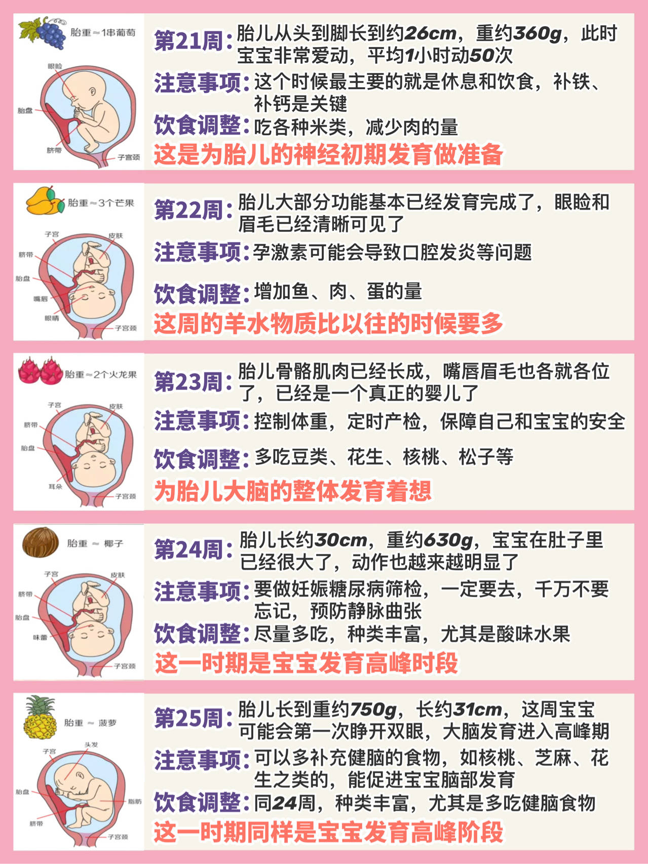 孕妇几个月补铁（孕妇补铁时期）-硒宝网