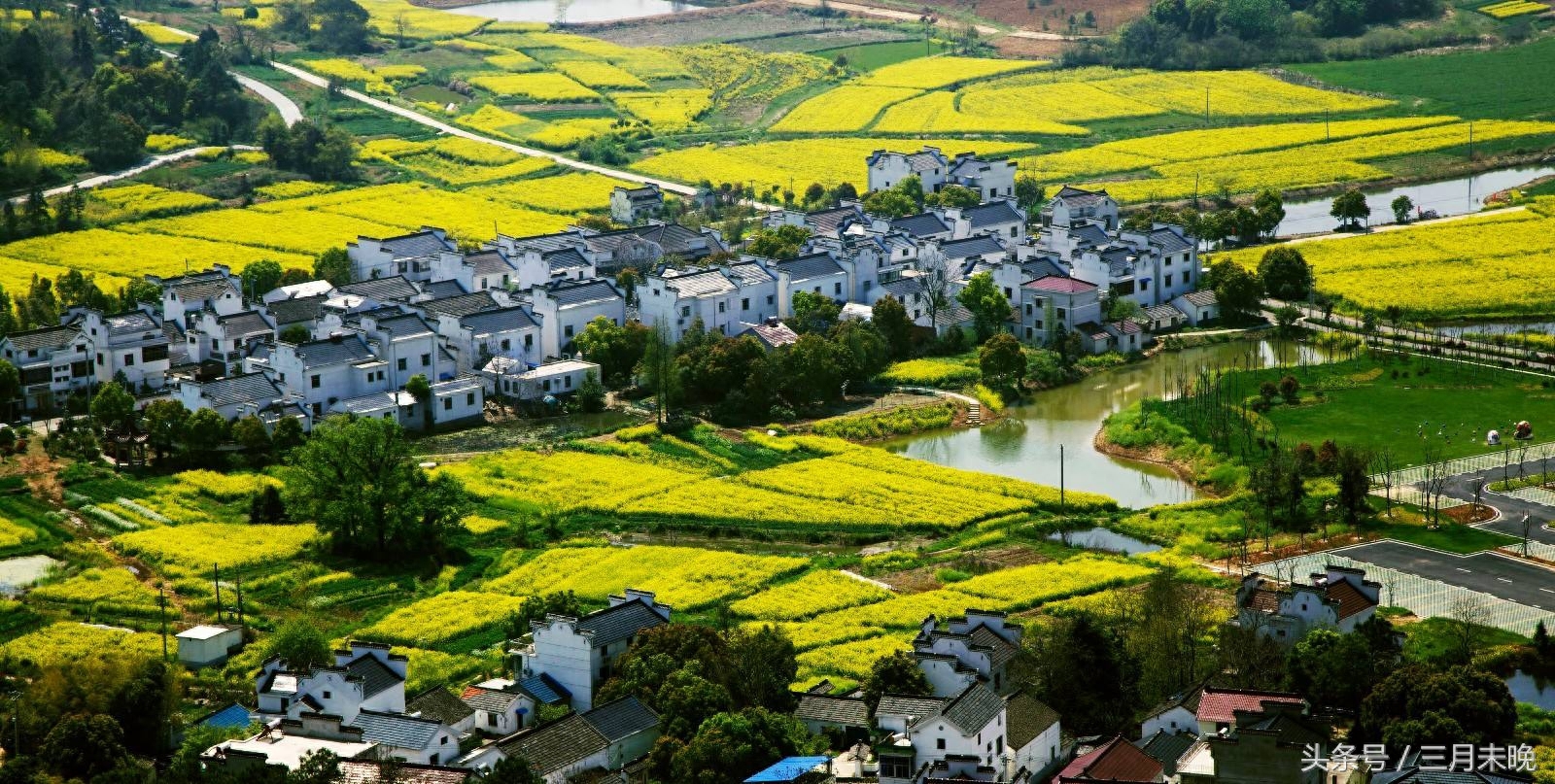 中国三大富硒村（中国富硒农业）-硒宝网