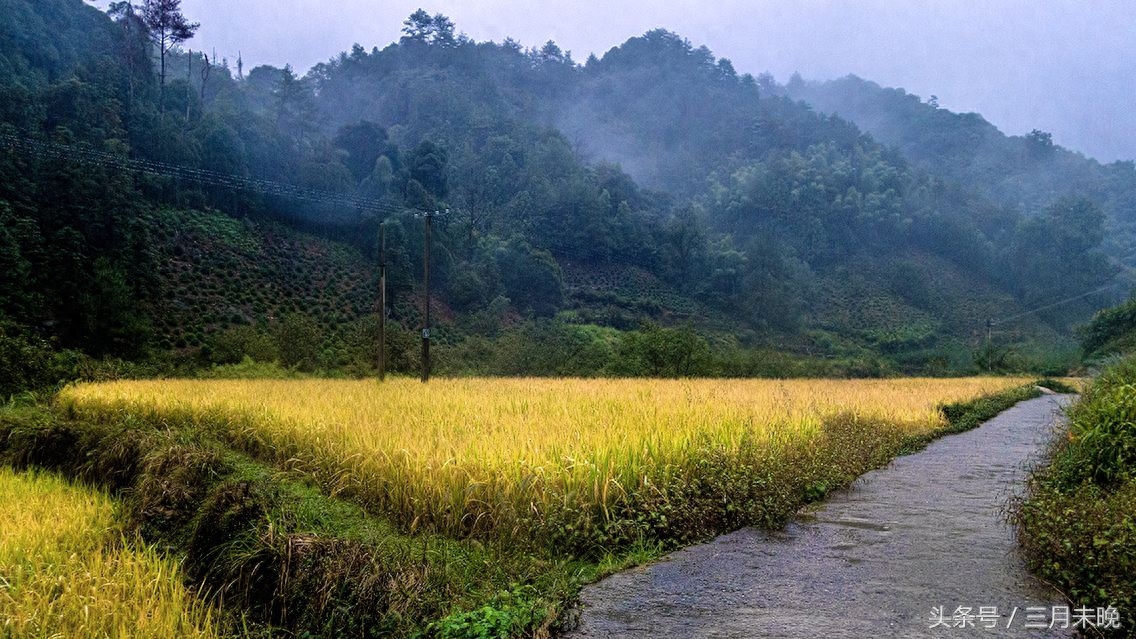 中国三大富硒村（中国富硒农业）-硒宝网
