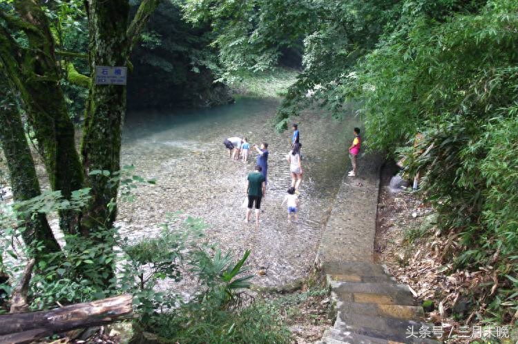 中国三大富硒村（中国富硒农业）-硒宝网