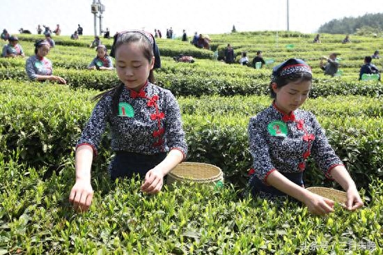 中国三大富硒村（中国富硒农业）-硒宝网