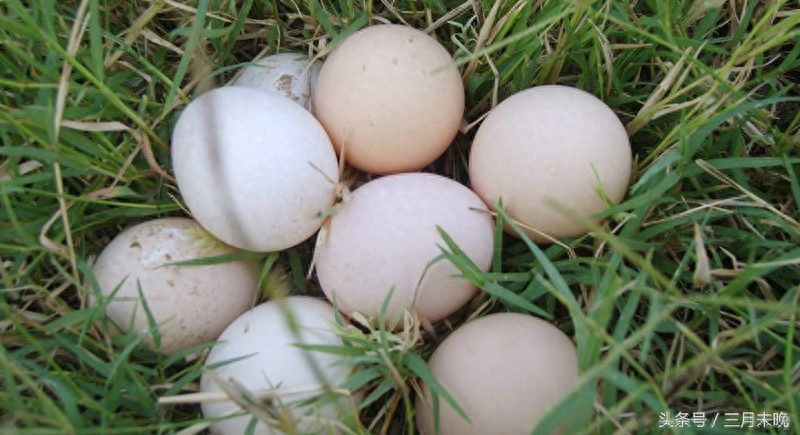 中国三大富硒村（中国富硒农业）-硒宝网