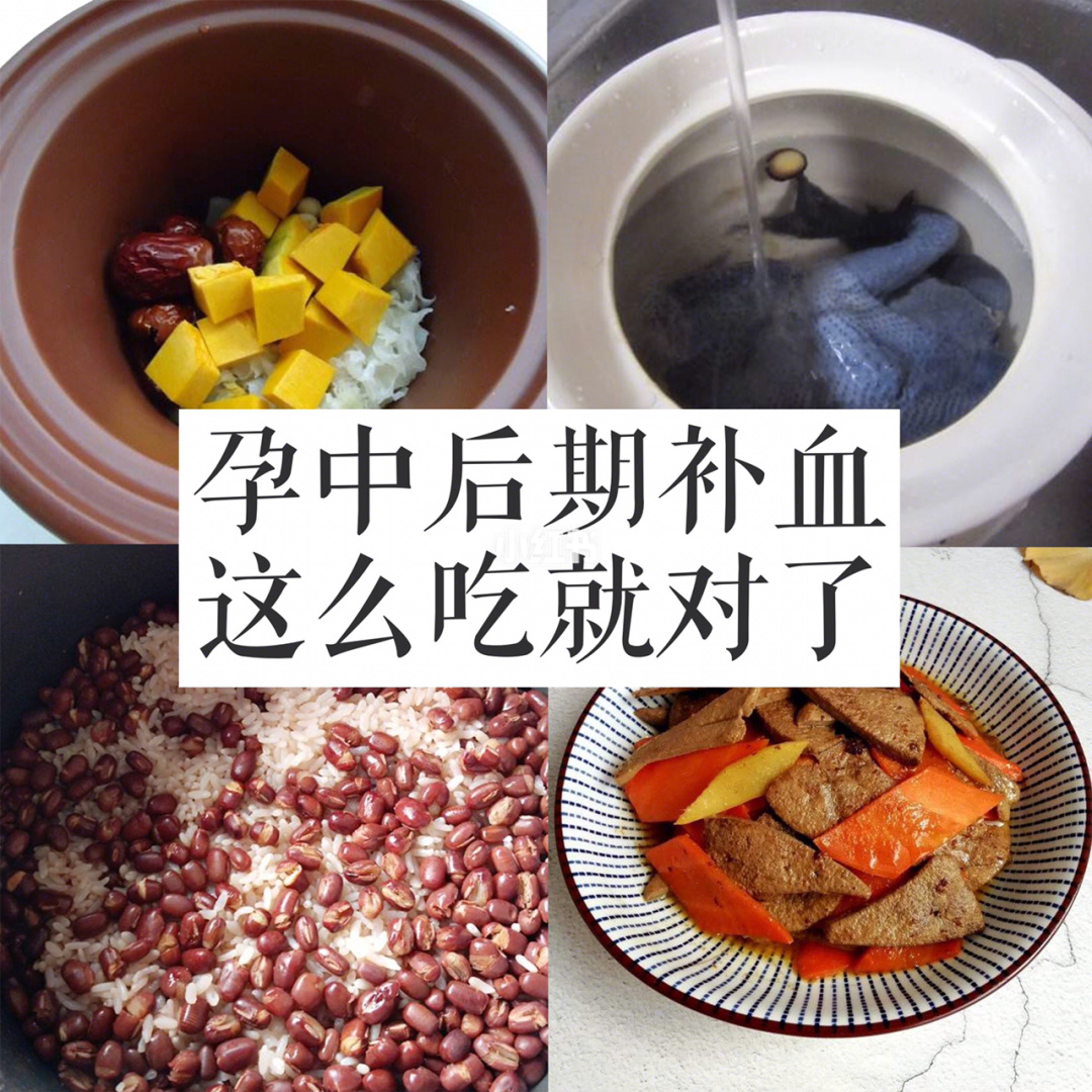 虾补铁吗（虾补铁还是补钙）-硒宝网