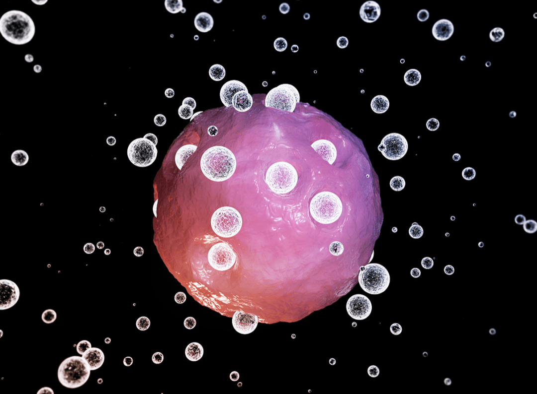 吃哪些食物补硒（补充硒食物）-硒宝网