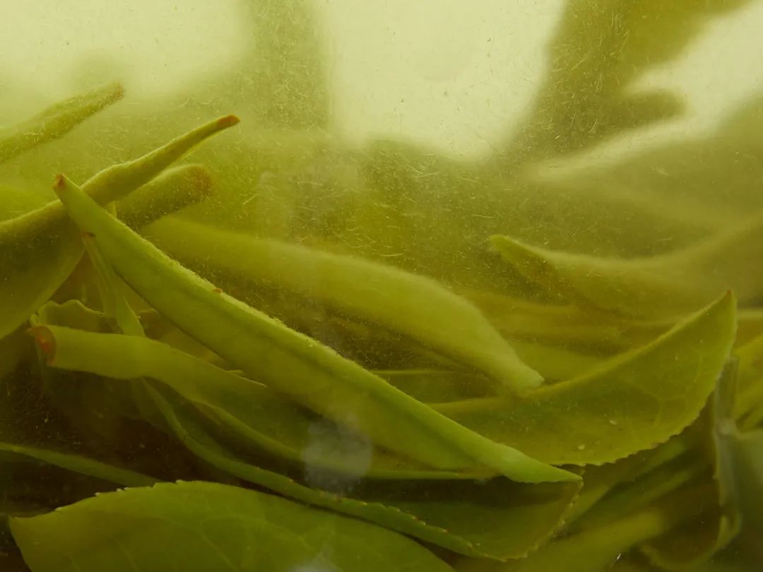 云雾恩施富硒茶（云雾茶叶价格）-硒宝网