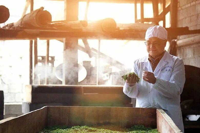 云雾恩施富硒茶（云雾茶叶价格）-硒宝网