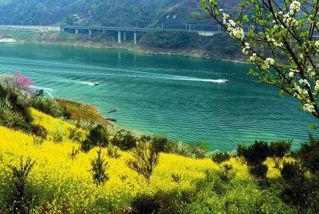 陕西富硒茶价格（陕西茶价格富硒多少）-硒宝网