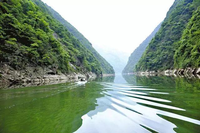 陕西富硒茶价格（陕西茶价格富硒多少）-硒宝网