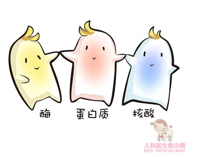 伊分子锌硒宝片（锌硒宝片的作用是什么）-硒宝网