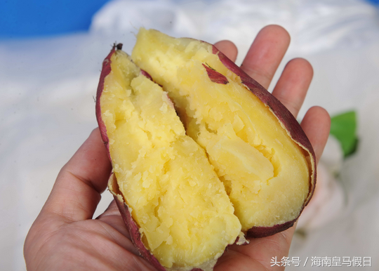 什么是富硒地瓜(富硒地瓜与普通地瓜的区别)-硒宝网