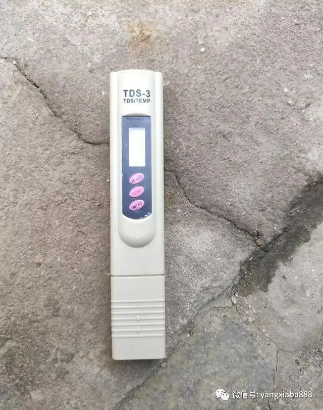 虾补钙么（经常吃虾补钙吗）-硒宝网