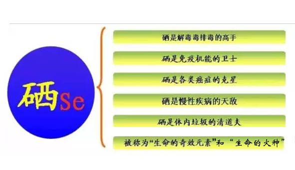 儿童缺硒怎么补（儿童缺硒的危害有哪些）-硒宝网