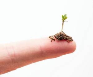 怎么测微量元素（测微量元素多少钱）-硒宝网