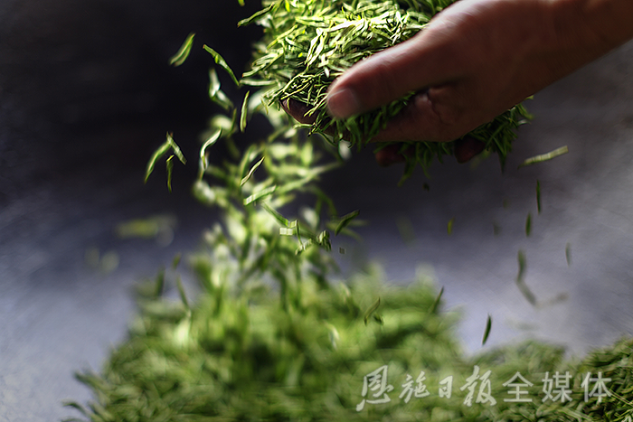 云雾恩施富硒茶（云雾富硒贡茶价格）-硒宝网