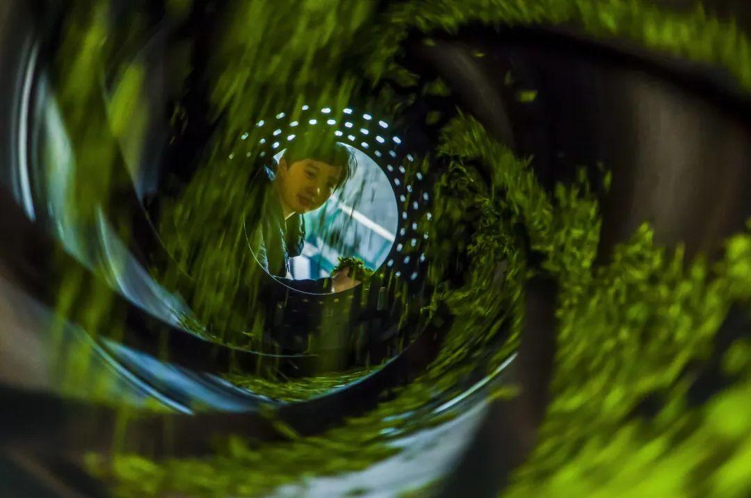 云雾恩施富硒茶（云雾富硒贡茶价格）-硒宝网