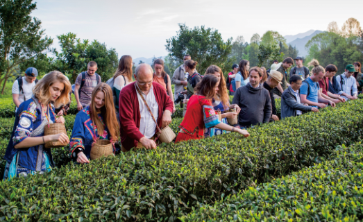 云雾恩施富硒茶（云雾富硒贡茶价格）-硒宝网
