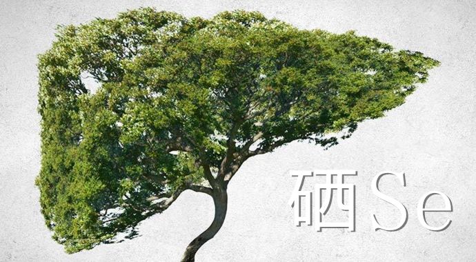 吃什么药能补硒(补硒药可以长时间服用吗)-硒宝网
