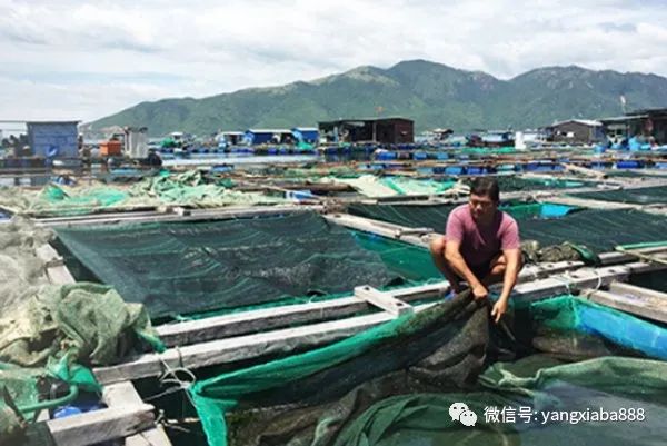 虾补钙么（虾补钙还是虾皮补钙）-硒宝网