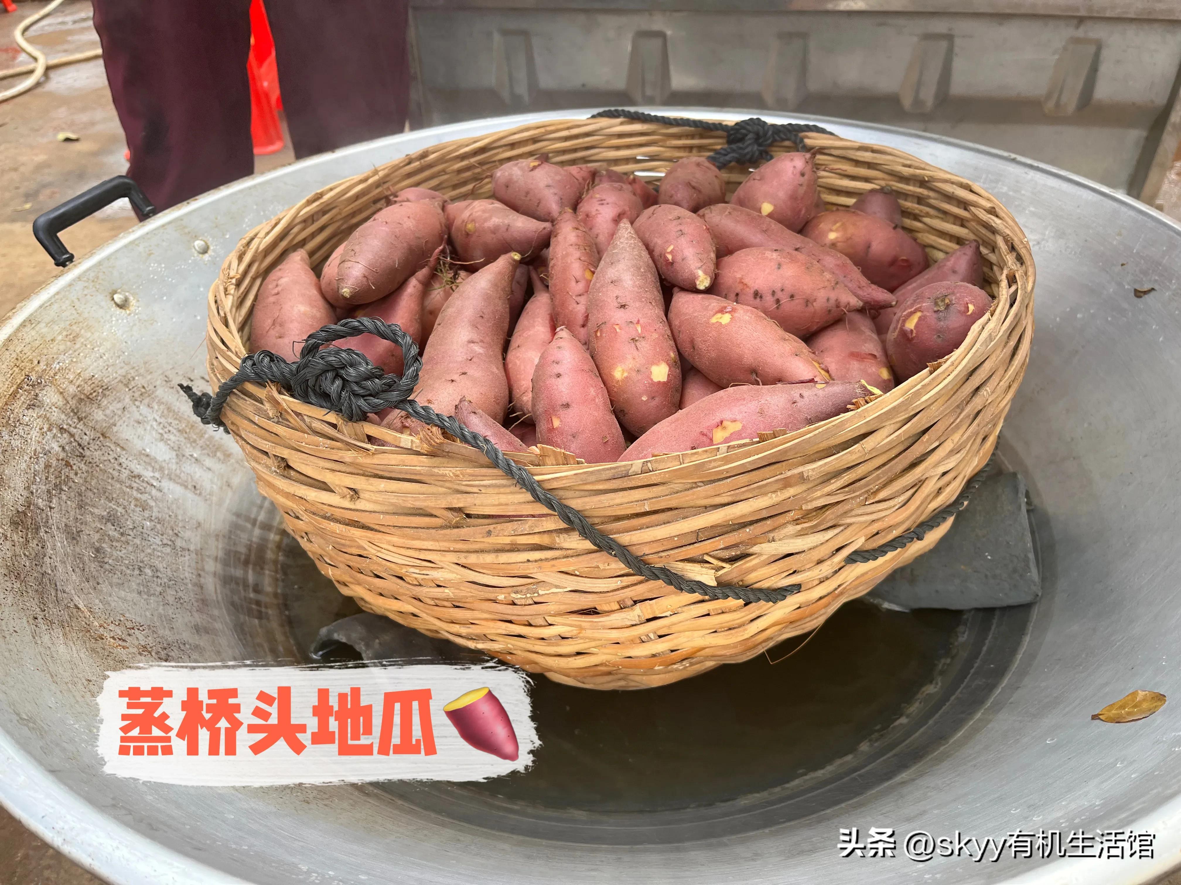 什么是富硒地瓜（富硒地瓜好吗）-硒宝网