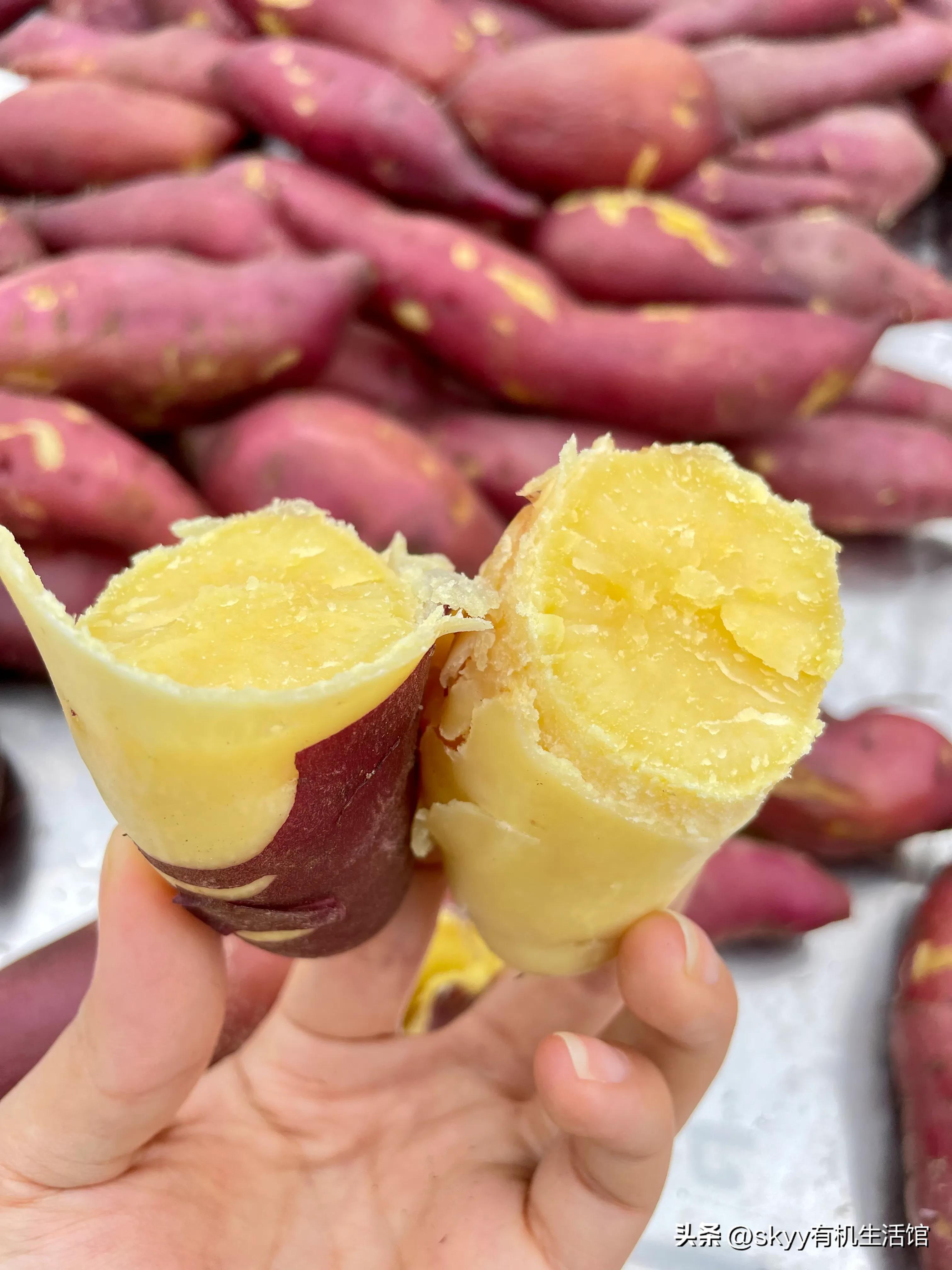 什么是富硒地瓜（富硒地瓜好吗）-硒宝网