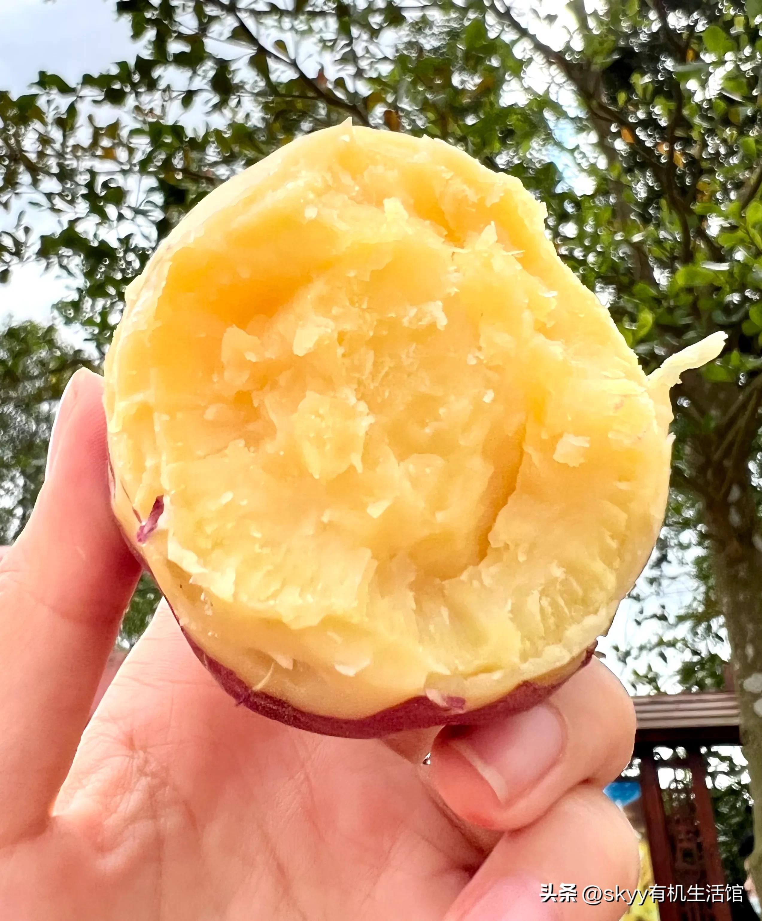 什么是富硒地瓜（富硒地瓜好吗）-硒宝网