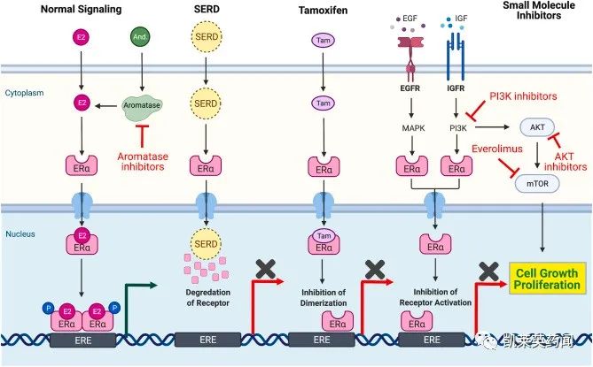 乳腺癌 硒维康（硒维康对癌症有用吗）-硒宝网