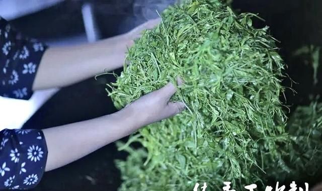 富硒藤茶的功效（富硒藤茶多少钱一斤）-硒宝网