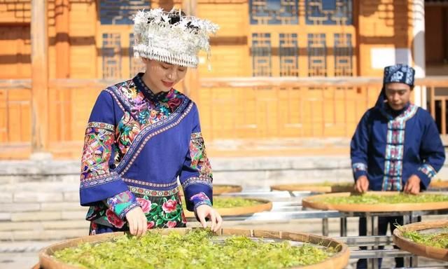 富硒藤茶的功效（富硒藤茶多少钱一斤）-硒宝网