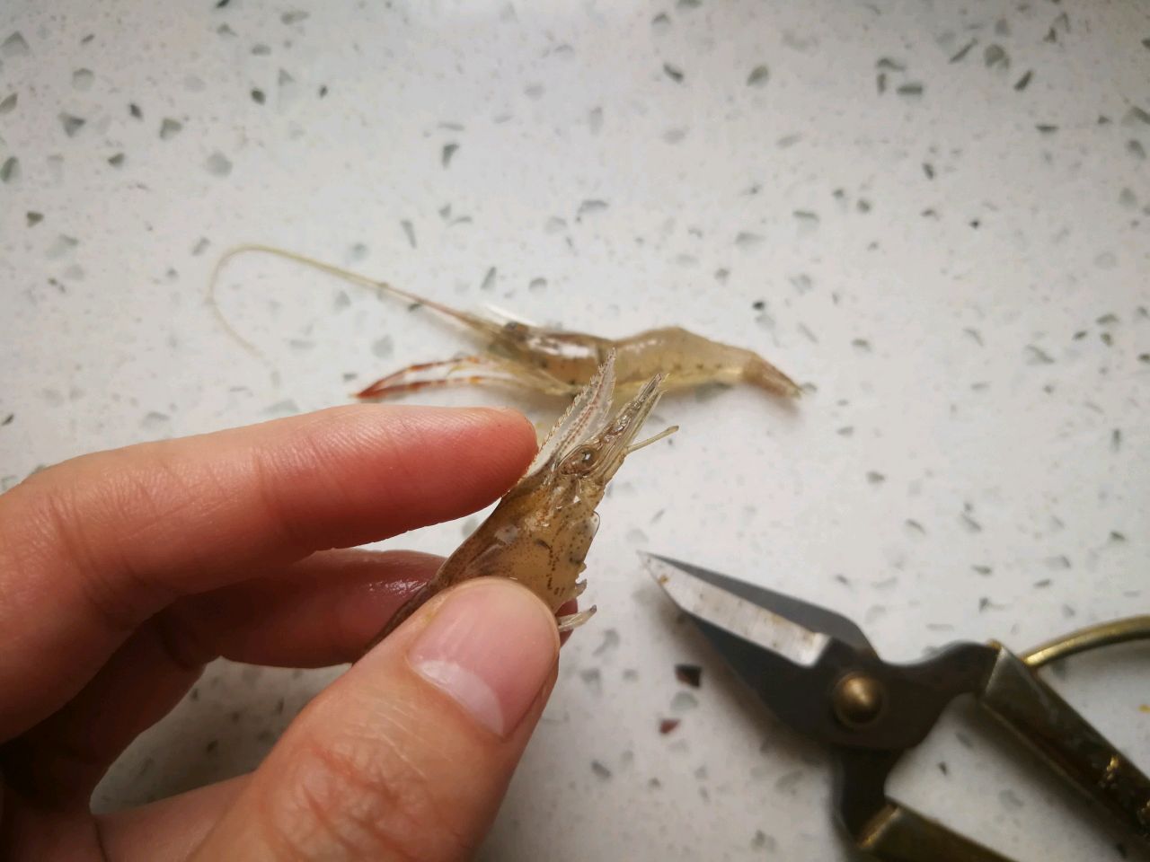 河虾补钙吗（小河虾补钙）-硒宝网