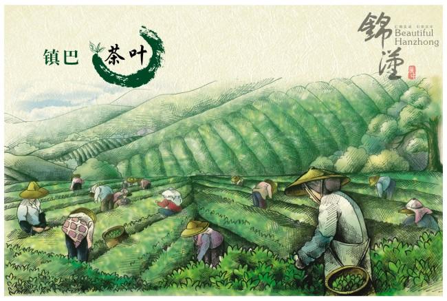 富硒茶的含硒量(茶量含富硒硒吗)-硒宝网