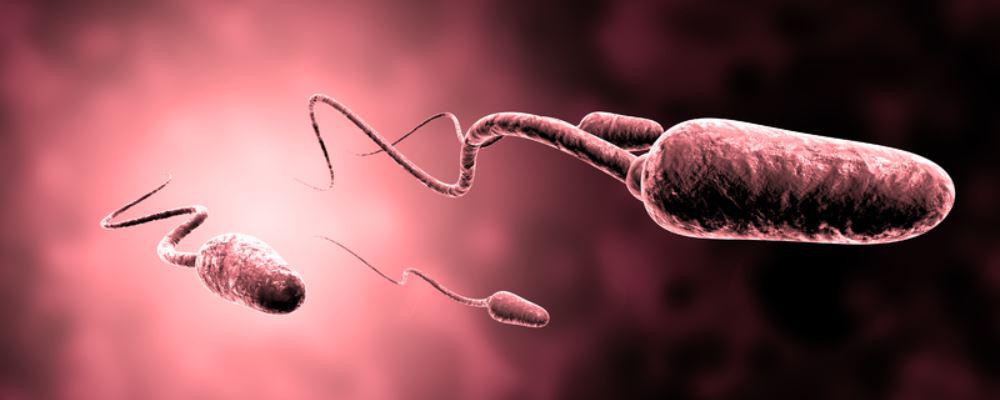 备孕吃锌硒宝片(女性备孕吃锌硒宝片有什么功效)-硒宝网