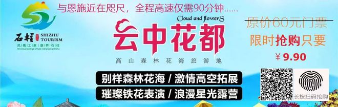 天猫恩施富硒茶(天猫茶叶)-硒宝网