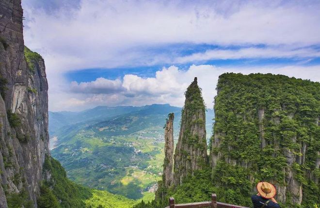 天猫恩施富硒茶(天猫茶叶)-硒宝网