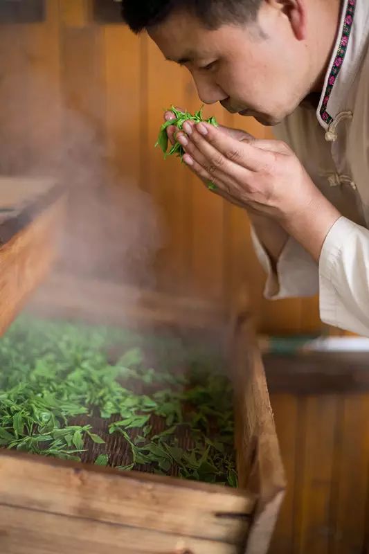 天猫恩施富硒茶(天猫茶叶)-硒宝网