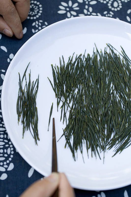 天猫恩施富硒茶(天猫茶叶)-硒宝网