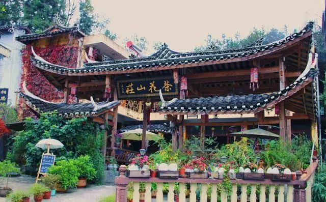 天猫恩施富硒茶(天猫茶叶)-硒宝网