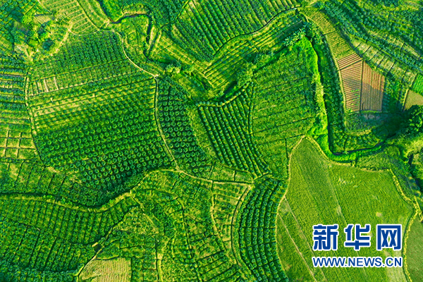 江津区富硒产品（江津区富硒产品有哪些）-硒宝网