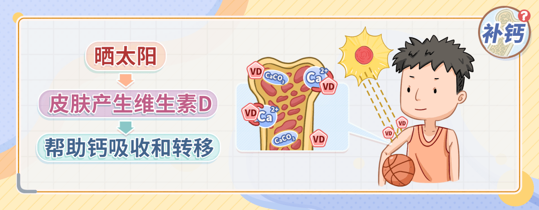 补钙吃啥食物补得快（吃补钙的食物有哪些）-硒宝网