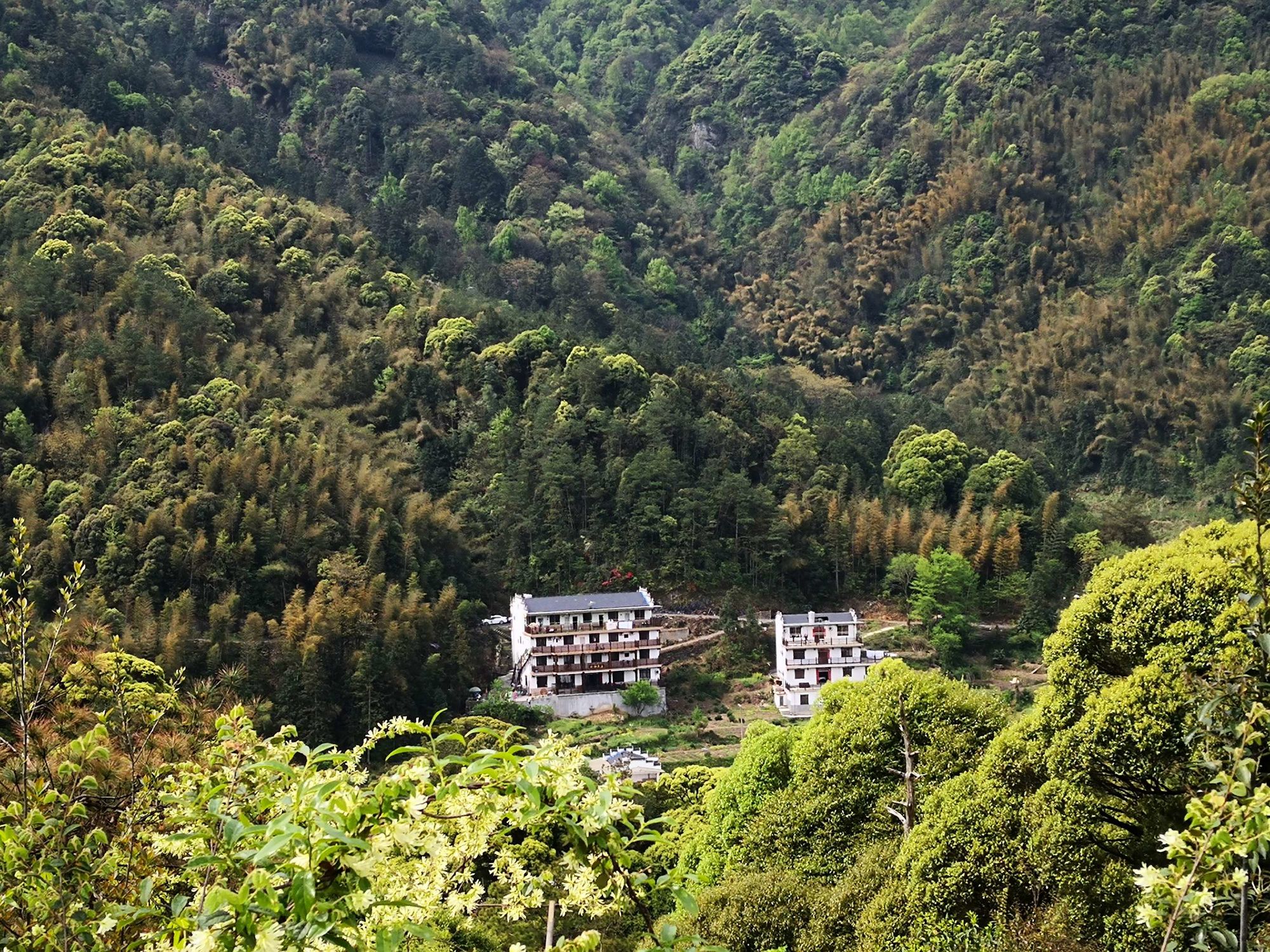 石台富硒茶价格(石台硒茶礼盒)-硒宝网