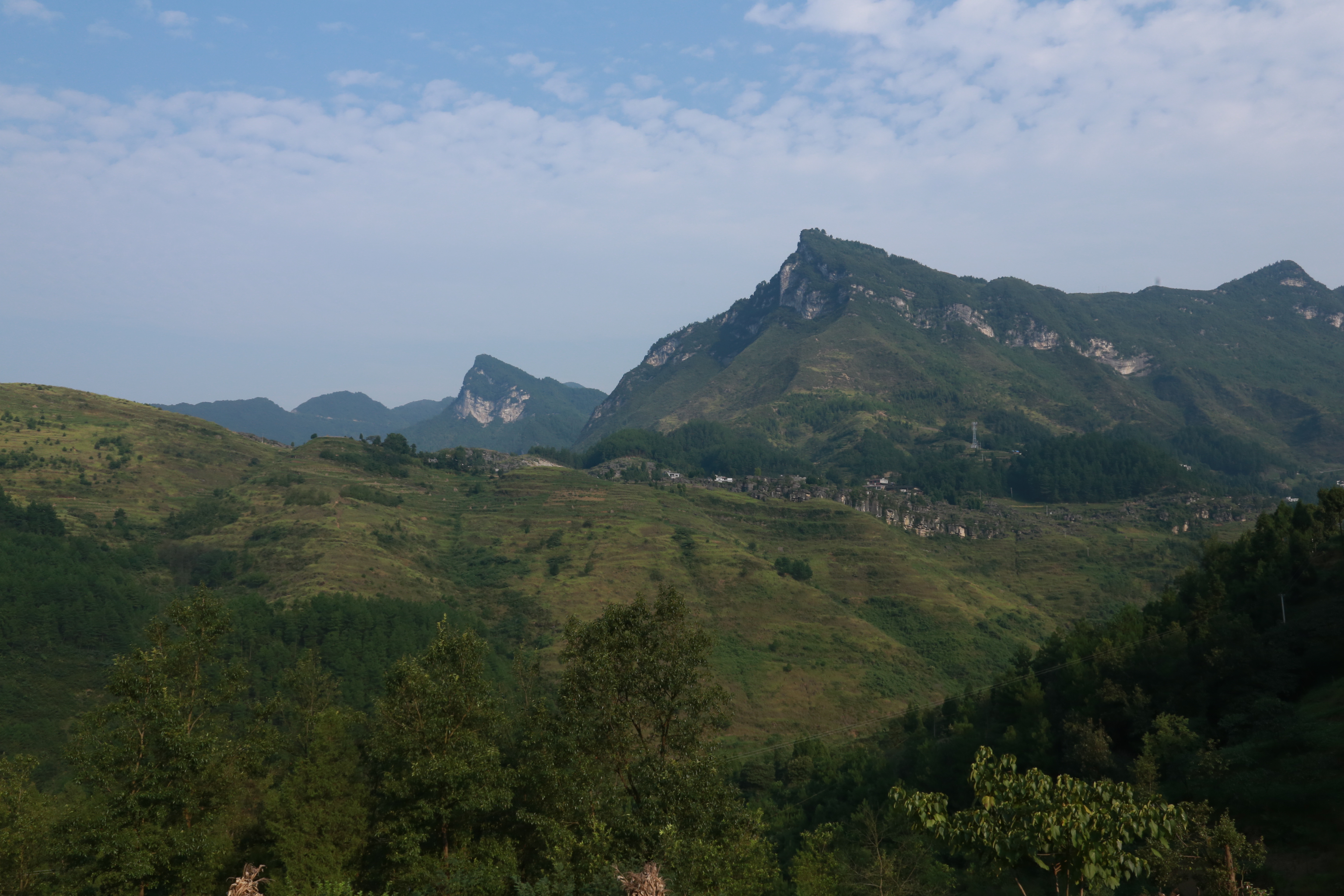石台富硒茶价格(石台硒茶礼盒)-硒宝网