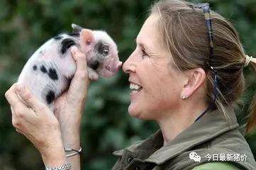 怎样给仔猪补硒（仔猪补硒的作用）-硒宝网